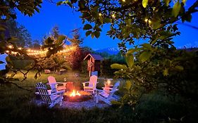 Cuib din Fagaras