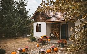 Cuib din Fagaras